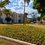 como-goiania-consegue-manter-35-pontos-floridos-em-meio-a-seca-e-ao-calor-de-30°c