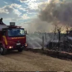 Incêndio no Parque Terra Ronca em investigação