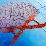 pesquisa-inovadora-mostra-como-cerebro-pode-descansar-sem-a-necessidade-de-sono