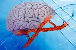 pesquisa-inovadora-mostra-como-cerebro-pode-descansar-sem-a-necessidade-de-sono