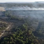 incendio-no-parque-terra-ronca-chega-ao-7o-dia-com-fogo-na-serra-geral-e-reforco-nas-equipes