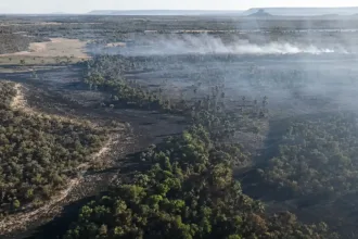 incendio-no-parque-terra-ronca-chega-ao-7o-dia-com-fogo-na-serra-geral-e-reforco-nas-equipes
