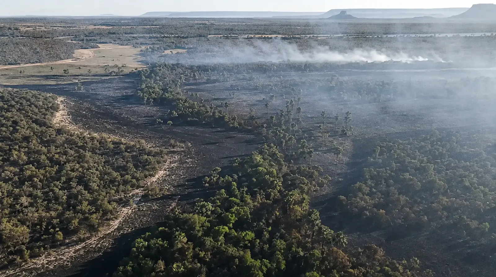 Sétimo Dia de Combate ao Incêndio no Parque Estadual de Terra Ronca