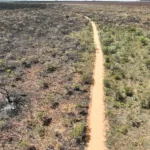 incendio-no-terra-ronca-avanca-novamente-para-a-serra-geral-e-queima-12-mil-hectares