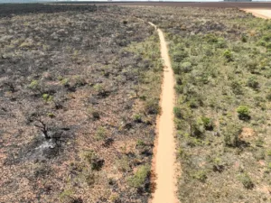 incendio-no-terra-ronca-avanca-novamente-para-a-serra-geral-e-queima-12-mil-hectares