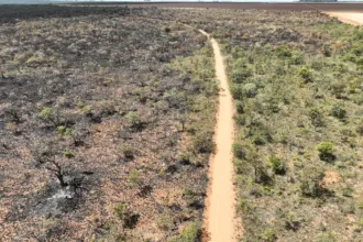 incendio-no-terra-ronca-avanca-novamente-para-a-serra-geral-e-queima-12-mil-hectares
