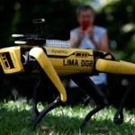 Mega-Sena acumulada com prêmio de R$ 25 milhões