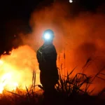 “maior-incendio-em-curso-no-brasil”,-fogo-em-terra-ronca-expoe-acao-humana-como-principal-causa-de-queimadas-em-goias