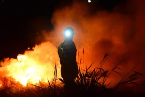 Incêndio em Terra Ronca consome vegetação