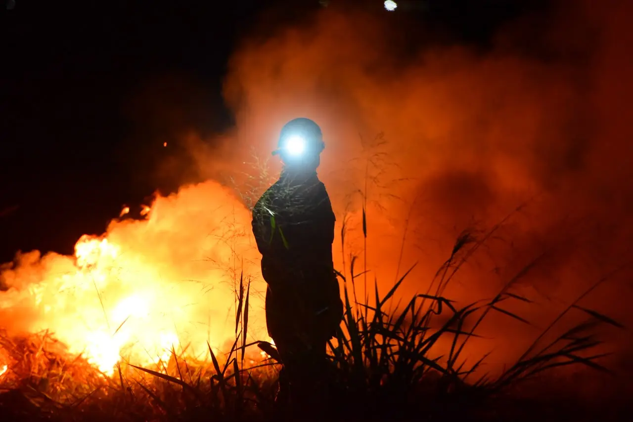 Incêndio devastador em Terra Ronca: Ação humana é a principal culpada