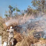 rompimento-de-fio-de-energia-causa-incendio-e-quase-atinge-condominio-em-goianesia
