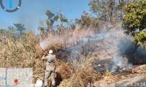 rompimento-de-fio-de-energia-causa-incendio-e-quase-atinge-condominio-em-goianesia