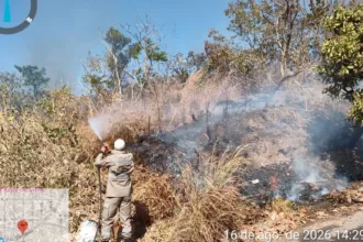 rompimento-de-fio-de-energia-causa-incendio-e-quase-atinge-condominio-em-goianesia