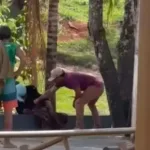 empresario-filmado-agredindo-mulher-em-situacao-de-rua-em-pirenopolis e-solto-pela-justica