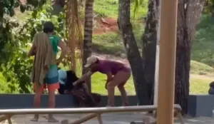 empresario-filmado-agredindo-mulher-em-situacao-de-rua-em-pirenopolis e-solto-pela-justica