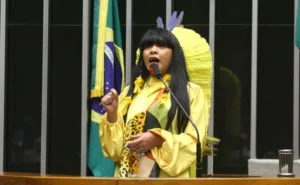 comissao-da-camara-aprova-fundo-nacional-para-revitalizar-linguas-e-culturas-indigenas-brasileiras