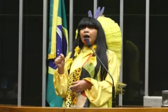 comissao-da-camara-aprova-fundo-nacional-para-revitalizar-linguas-e-culturas-indigenas-brasileiras