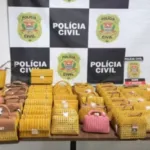 policia-recupera-bolsas-de-luxo-da-serpui,-grife-de-anitta,-e-prende-mulher-em-sao-paulo