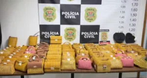 policia-recupera-bolsas-de-luxo-da-serpui,-grife-de-anitta,-e-prende-mulher-em-sao-paulo