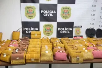 policia-recupera-bolsas-de-luxo-da-serpui,-grife-de-anitta,-e-prende-mulher-em-sao-paulo