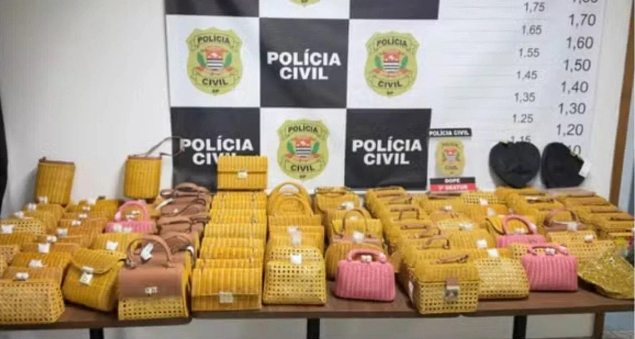 Polícia recupera bolsas de luxo da Serpui, grife de Anitta, e prende mulher em São Paulo