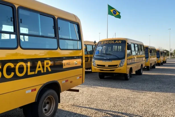 Transporte escolar em Nova Crixás com foco na justiça
