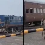 vaca-atropelada-por-trem-surpreende-ao-se-levantar-e-andar-na-india