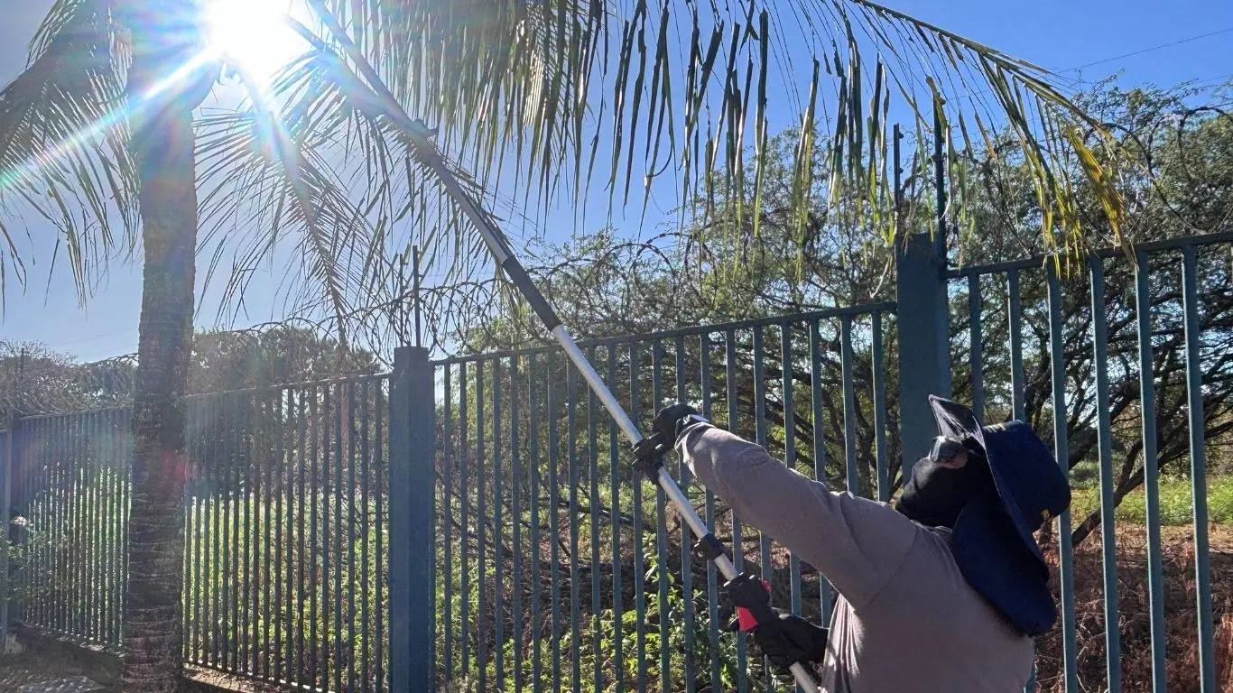 Calor Extremo em Goiás: Entenda o Que Está Acontecendo
