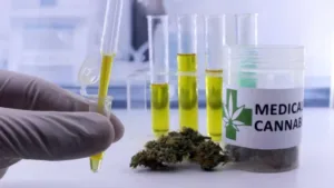 Importação de cannabis medicinal no Brasil em 2026