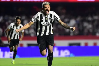 Tiquinho Soares no Botafogo