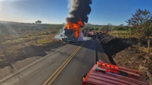 onibus-pega-fogo-na-br-364,-em-mineiros,-e-incendio-atinge-vegetacao;-video