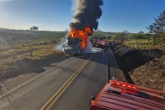 onibus-pega-fogo-na-br-364,-em-mineiros,-e-incendio-atinge-vegetacao;-video