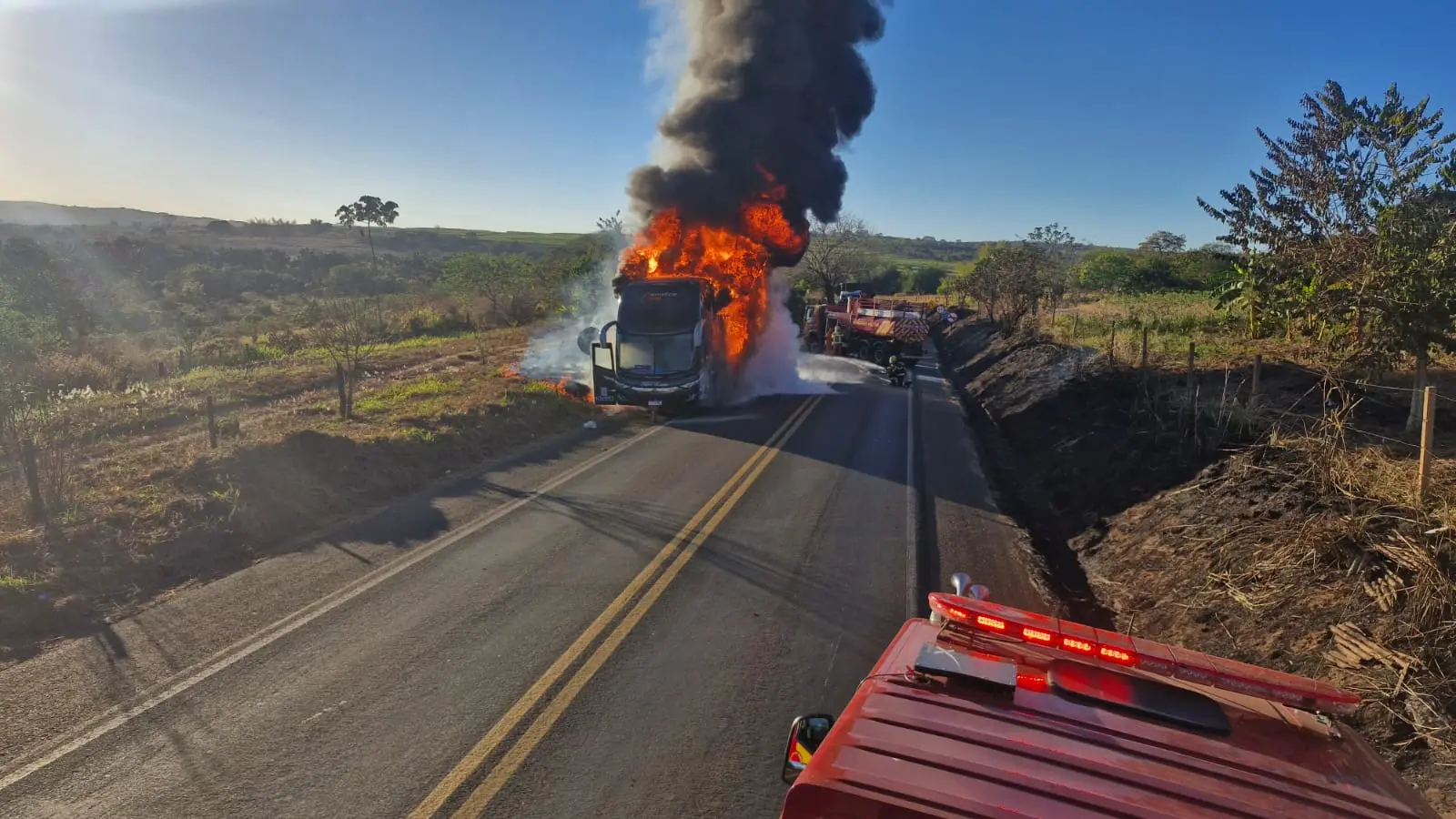 Ônibus pega fogo na BR-364, em Mineiros, e incêndio atinge vegetação; vídeo