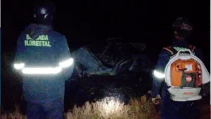 Motorista escapa de incêndio após acidente na GO-174