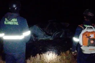 Motorista escapa de incêndio após acidente na GO-174