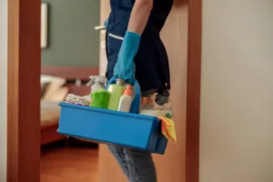 Empregada doméstica com produtos de limpeza, regras para empregadores