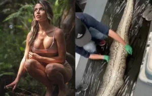 biologa-‘mais-sexy-do-mundo’-abre-cobra-piton-que-teria-devorado-mulher;-veja-o-que-ela-encontrou