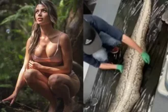biologa-‘mais-sexy-do-mundo’-abre-cobra-piton-que-teria-devorado-mulher;-veja-o-que-ela-encontrou