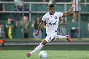 palpites-botafogo-x-athletico-pr-pelo-campeonato-brasileiro-em-duelo-no-nilton-santos-hoje-as-20h