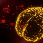 crianca-de-oito-anos-na-louisiana-morre-por-rara-infeccao-de-ameba-‘comedora-de-cerebro’
