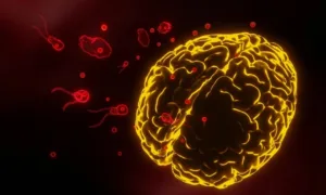 crianca-de-oito-anos-na-louisiana-morre-por-rara-infeccao-de-ameba-‘comedora-de-cerebro’