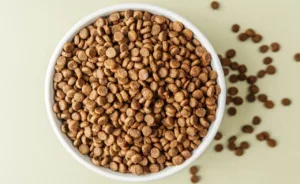 milhares-de-caixas-de-racao-para-caes-sao-retiradas-do-mercado-por-contaminacao-nos-eua-e-canada