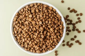 milhares-de-caixas-de-racao-para-caes-sao-retiradas-do-mercado-por-contaminacao-nos-eua-e-canada