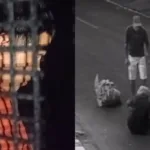Suspeito de agressão a idoso em Goiânia é preso