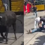 Cenas fortes de morte em festival de touros no México