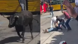 Cenas fortes de morte em festival de touros no México