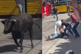 Cenas fortes de morte em festival de touros no México