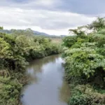 89%-dos-cursos-d’agua-de-goiania-estao-em-situacao-critica-por-causa-de-acao-humana,-diz-cimehgo