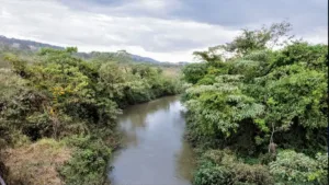 89%-dos-cursos-d’agua-de-goiania-estao-em-situacao-critica-por-causa-de-acao-humana,-diz-cimehgo