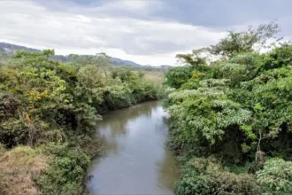 89%-dos-cursos-d’agua-de-goiania-estao-em-situacao-critica-por-causa-de-acao-humana,-diz-cimehgo